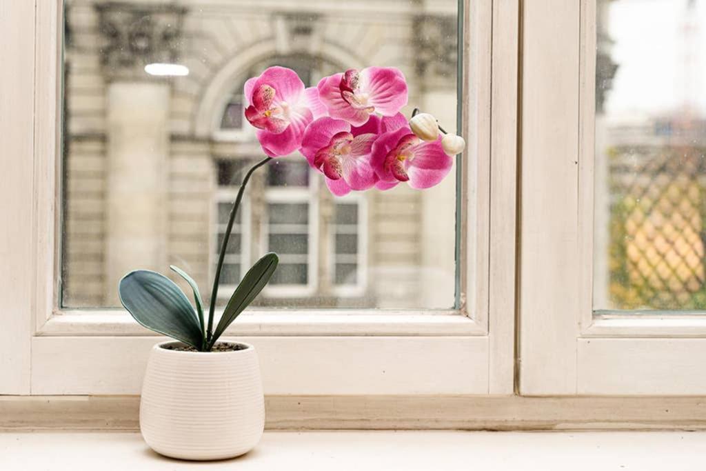 Full House - Prime - Wifi Inkl Apartment *